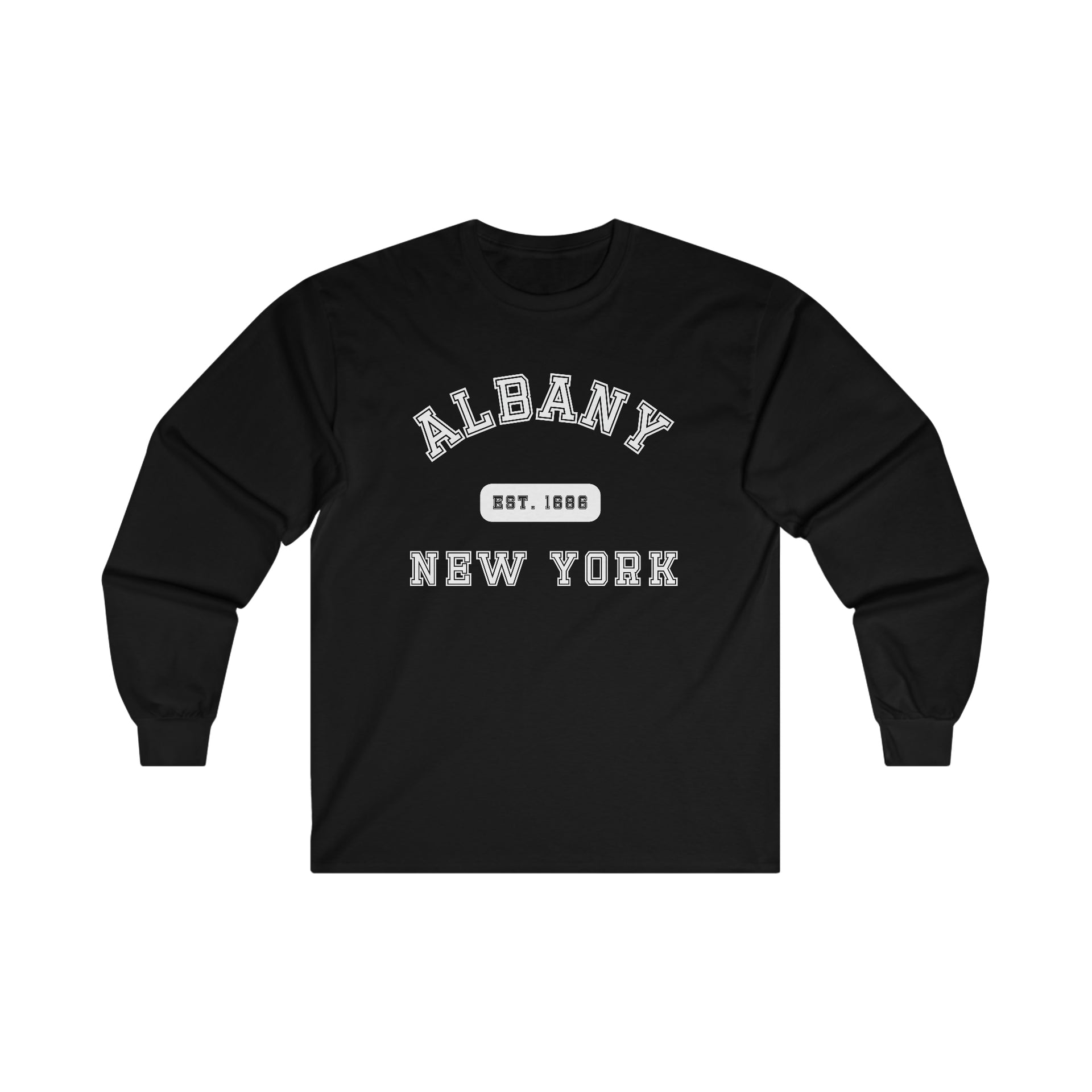 Albany New York Ultra Cotton Long Sleeve Tee